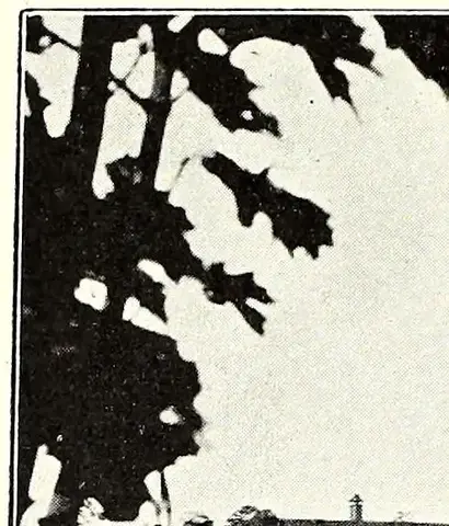 Illustration ur Stockholm. Sveriges hufvudstad: Del 1 (1897), sida 628