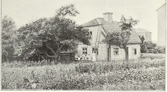 Illustration ur Stockholm. Sveriges hufvudstad: Del 1 (1897), sida 691