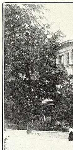 Illustration ur Stockholm. Sveriges hufvudstad: 2 (1897), sida 244