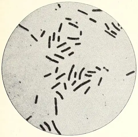 Illustration, sida 433