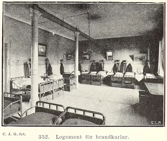Illustration, sida 503