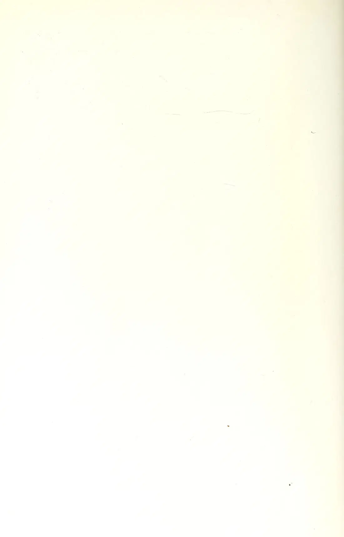 Originalsida 384