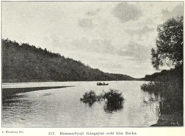 Illustration, sida 352