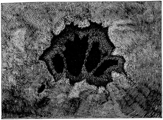 Illustration, sida 39