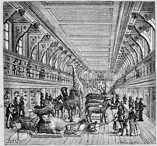 Illustration, sida 103