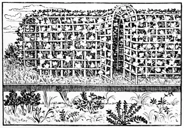 Illustration ur Svenska slöjdföreningens tidskrift (1905), sida 291
