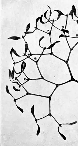Illustration ur Svenska slöjdföreningens tidskrift (1905), sida 371