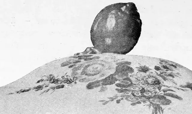 Illustration ur Svenska slöjdföreningens tidskrift (1905), sida 100