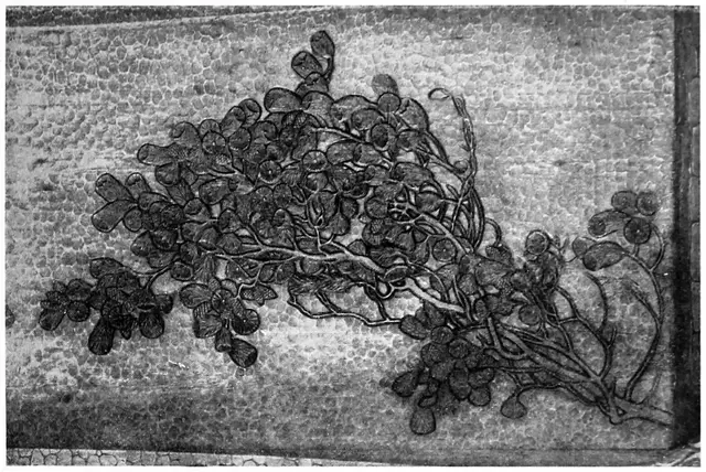 Illustration, sida 277