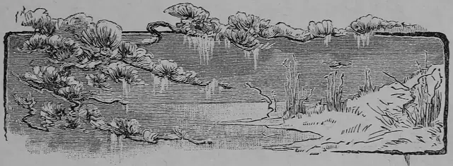 Illustration ur Sverige och Svenskarne. Eller från slott till koja (1893), sida 17