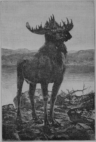 Illustration ur Sverige och Svenskarne. Eller från slott till koja (1893), sida 22