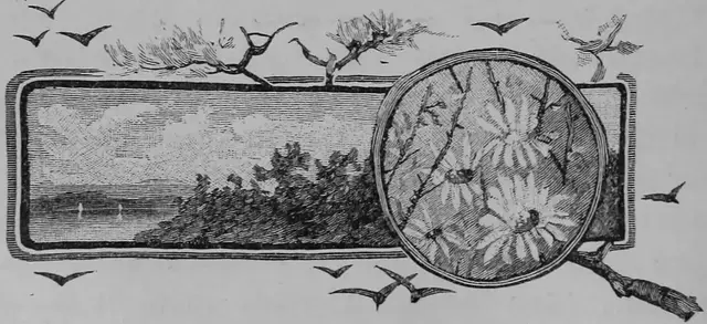 Illustration ur Sverige och Svenskarne. Eller från slott till koja (1893), sida 28