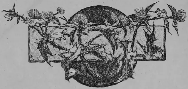 Illustration ur Sverige och Svenskarne. Eller från slott till koja (1893), sida 68