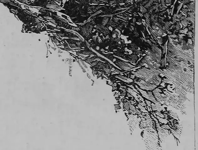 Illustration, sida 128