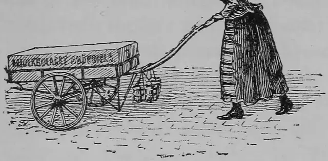 Illustration, sida 152