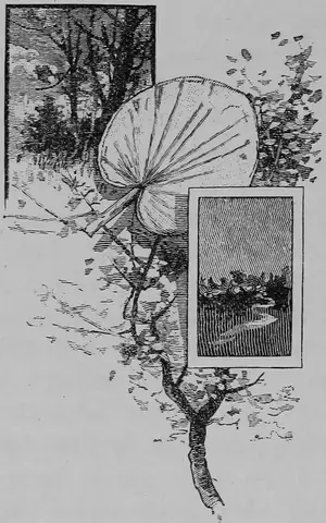 Illustration, sida 158