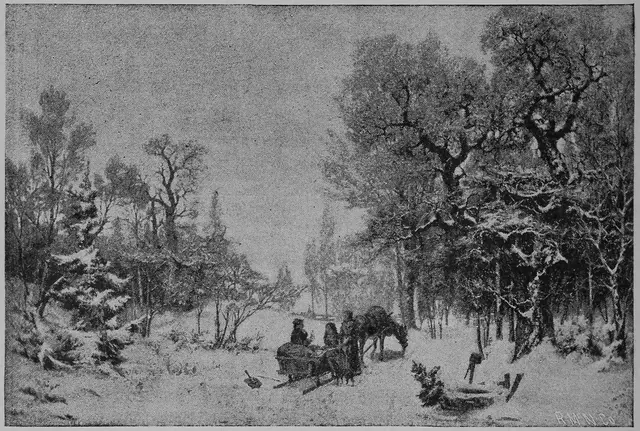 Illustration, sida 196
