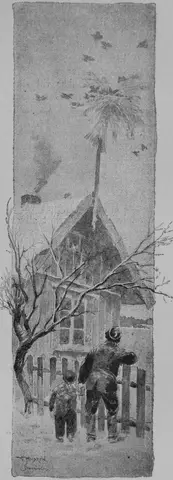 Illustration, sida 213