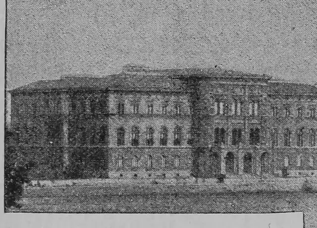 Illustration, sida 238