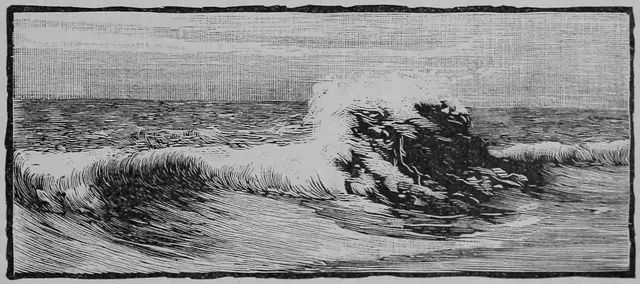 Illustration, sida 263