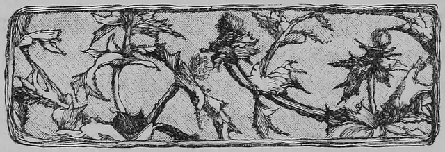 Illustration, sida 286