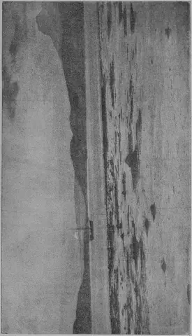 Illustration, sida 291
