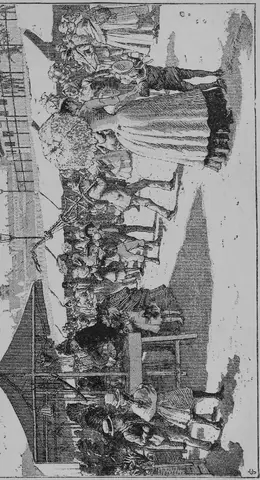 Illustration, sida 295