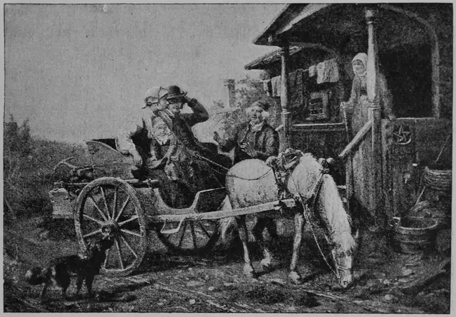 Illustration, sida 409