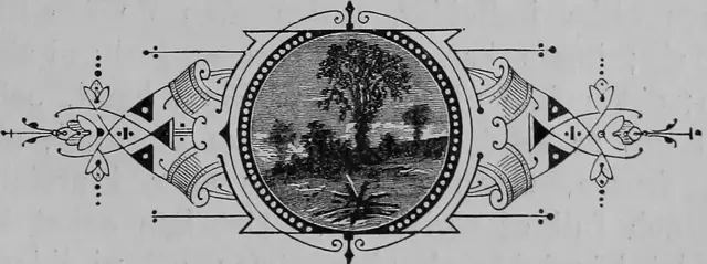 Illustration, sida 411