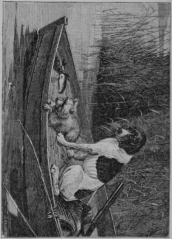 Illustration, sida 500