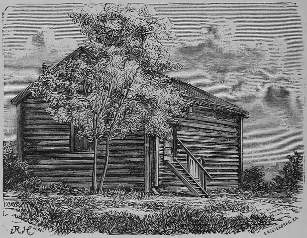 Illustration, sida 540