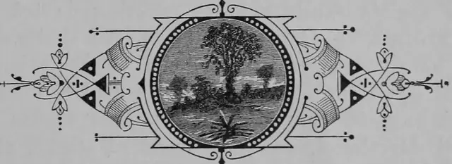 Illustration, sida 625