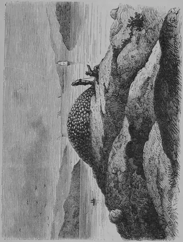 Illustration, sida 671
