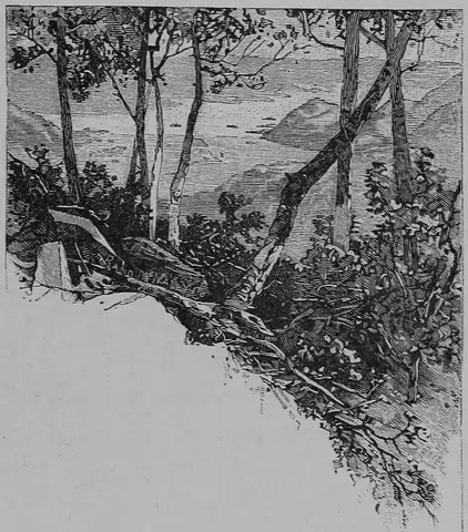 Illustration, sida 703