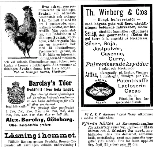 Illustration ur Svensk Läraretidning: 1893, sida 394