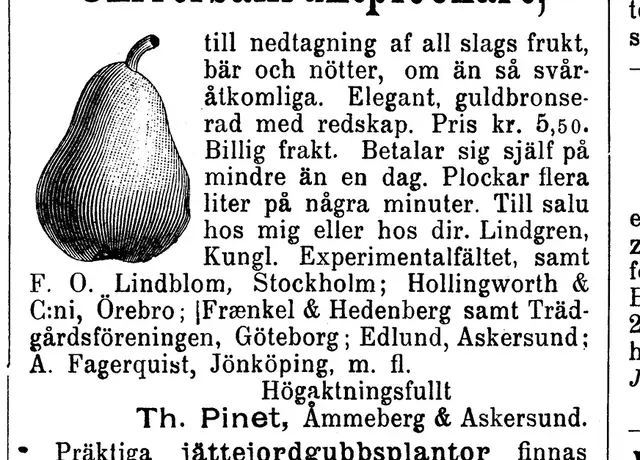 Illustration ur Svensk Läraretidning: 1894, sida 433