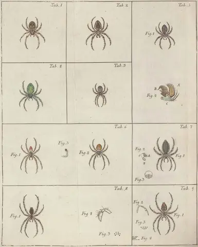 Illustration, sida 157