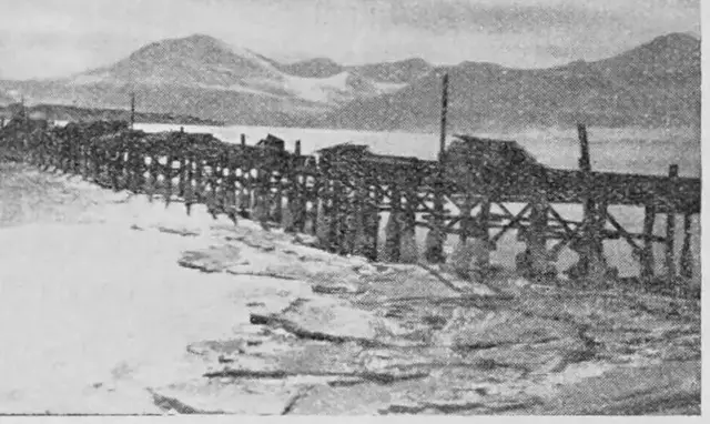Illustration, sida 490