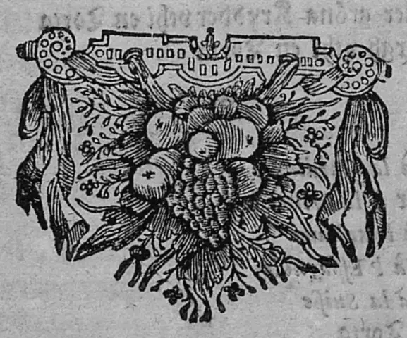 Illustration ur Then Frantzöske Kocken Och Pasteybakaren (1664), sida xxiv