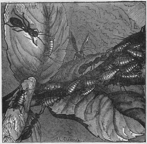 Illustration, sida 3
