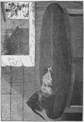Illustration, sida 11