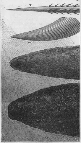 Illustration, sida 14