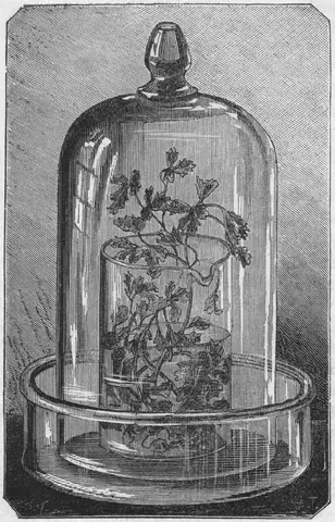Illustration, sida 17
