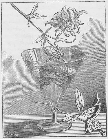 Illustration, sida 208
