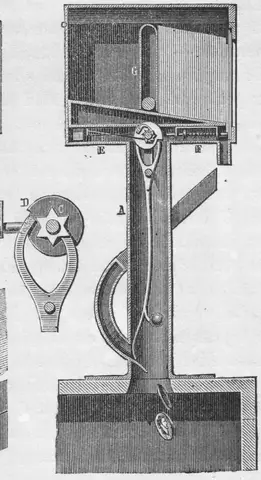 Illustration, sida 231