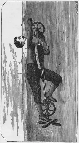 Illustration, sida 312