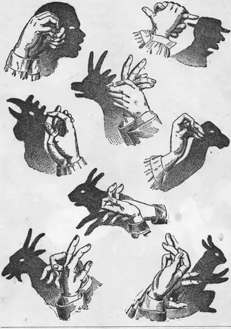 Illustration, sida 333