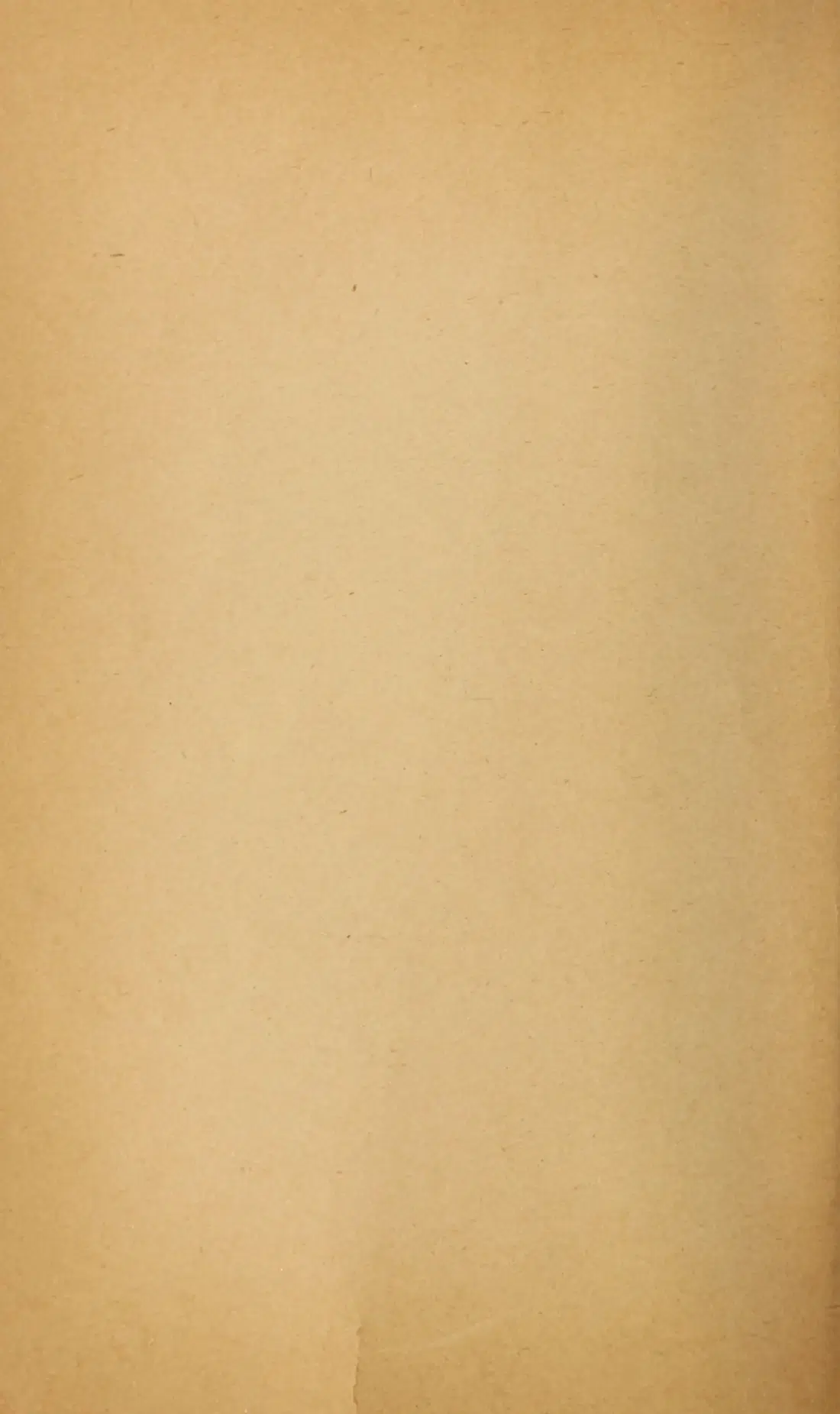 Originalsida iv