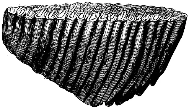 Illustration ur Om de äldsta spåren (1873), sida 26