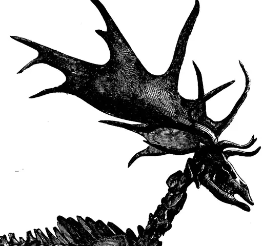 Illustration ur Om de äldsta spåren (1873), sida 39